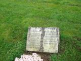 image of grave number 360009
